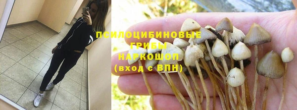 молекула духа Киреевск