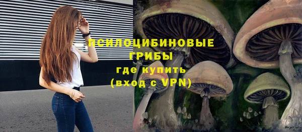 прущий лед Киренск