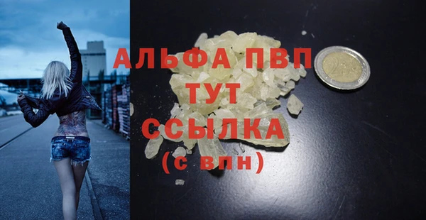 молекула духа Киреевск
