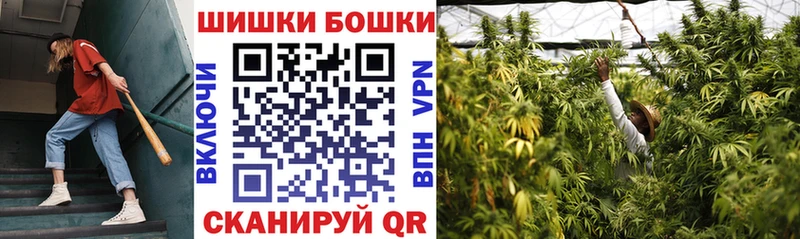 Купить где  Оса  Канабис план 